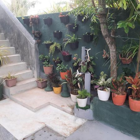 Weerakoon Garden Guest Hotel Hikkaduwa Luaran gambar