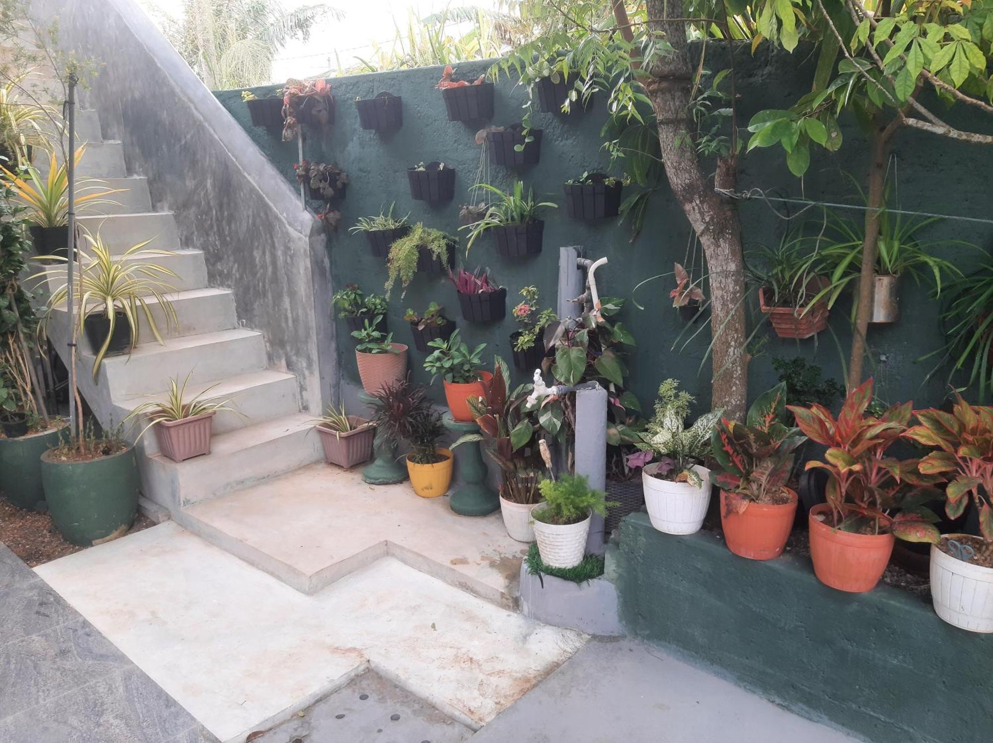 Weerakoon Garden Guest Hotel Hikkaduwa Luaran gambar